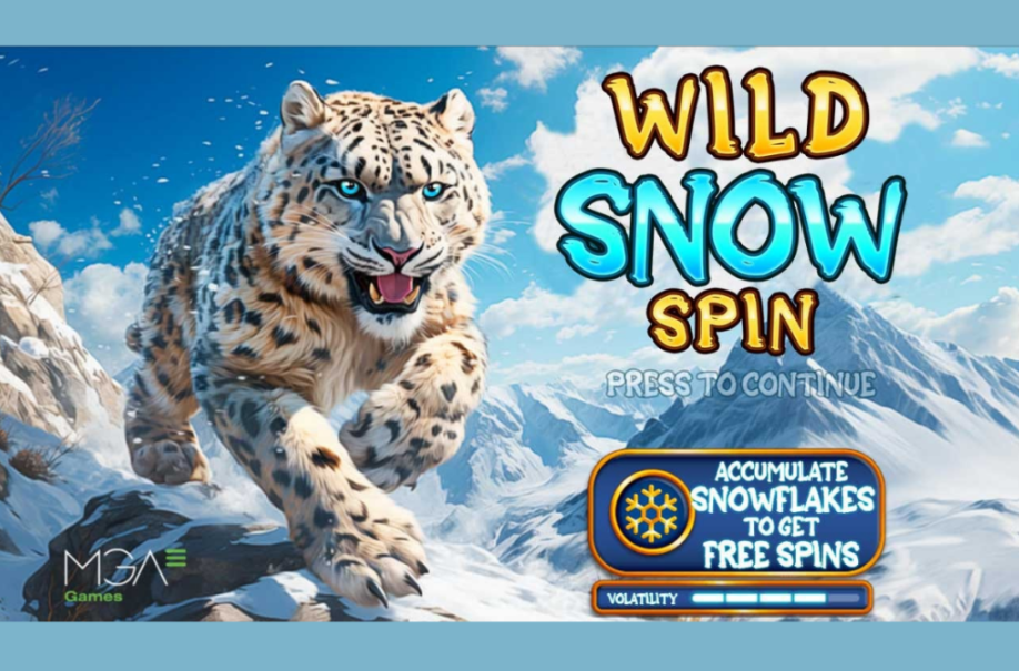 Wild Snow Spin Slot